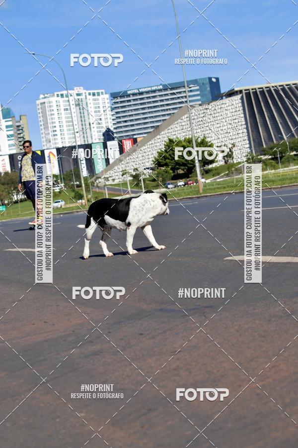 Buy your photos of the eventCorrida Contra o Feminicidio 2019 on Fotop