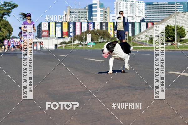 Buy your photos of the eventCorrida Contra o Feminicidio 2019 on Fotop