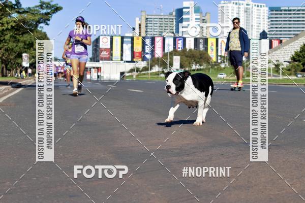 Buy your photos of the eventCorrida Contra o Feminicidio 2019 on Fotop