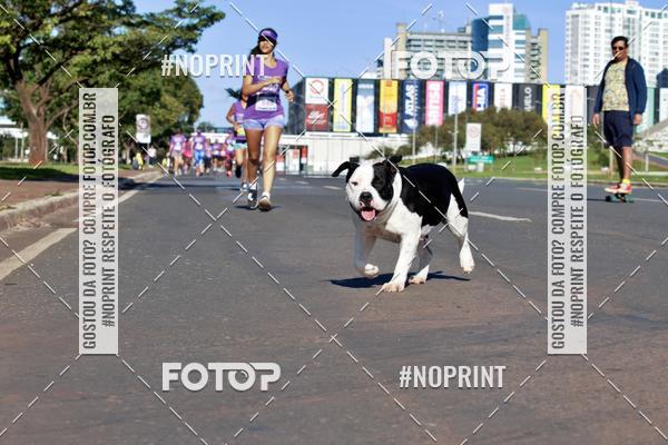 Buy your photos of the eventCorrida Contra o Feminicidio 2019 on Fotop