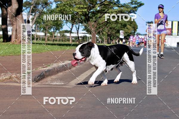 Buy your photos of the eventCorrida Contra o Feminicidio 2019 on Fotop