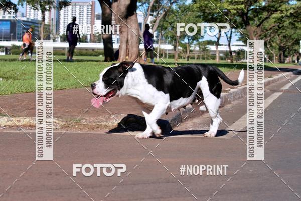 Buy your photos of the eventCorrida Contra o Feminicidio 2019 on Fotop