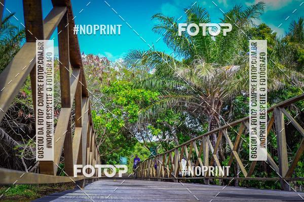 Buy your photos of the event15 Corrida Rstica de Praia do Forte on Fotop