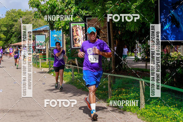 Buy your photos of the event15 Corrida Rstica de Praia do Forte on Fotop