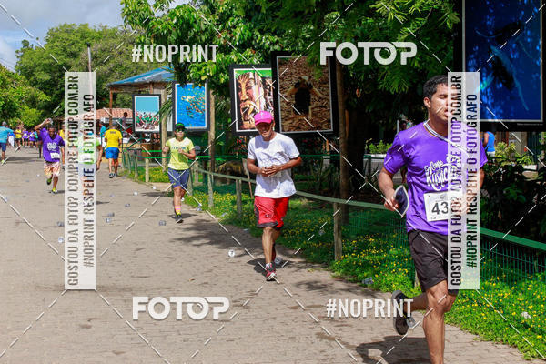 Buy your photos of the event15 Corrida Rstica de Praia do Forte on Fotop