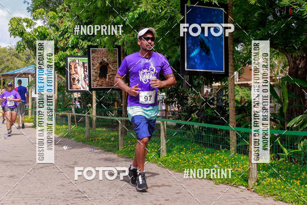 Buy your photos of the event15 Corrida Rstica de Praia do Forte on Fotop