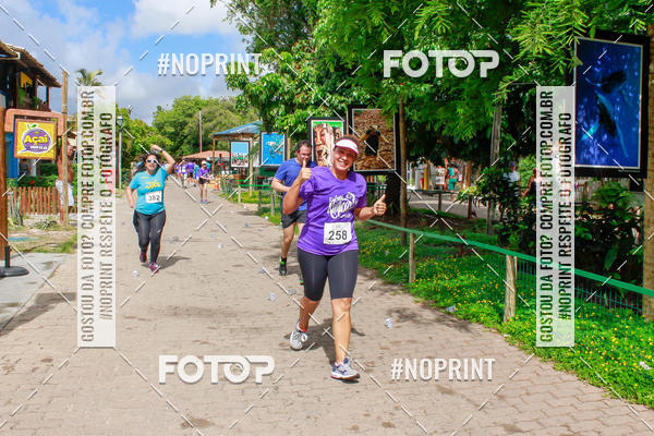 Buy your photos of the event15 Corrida Rstica de Praia do Forte on Fotop