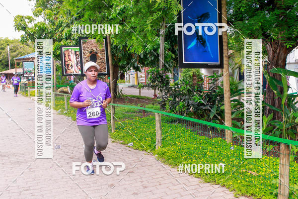 Buy your photos of the event15 Corrida Rstica de Praia do Forte on Fotop