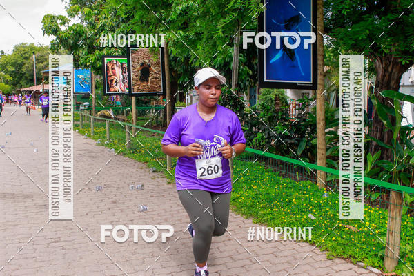 Buy your photos of the event15 Corrida Rstica de Praia do Forte on Fotop