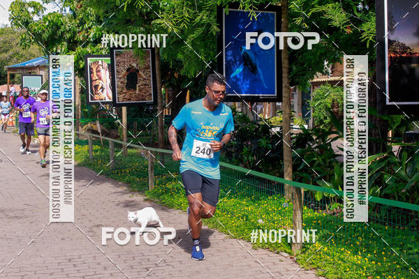 Buy your photos of the event15 Corrida Rstica de Praia do Forte on Fotop