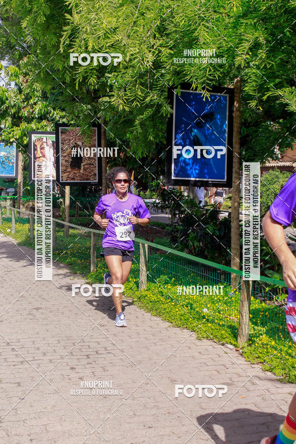 Buy your photos of the event15 Corrida Rstica de Praia do Forte on Fotop