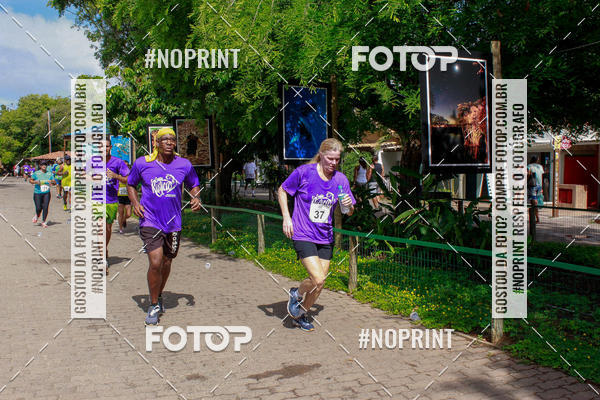 Buy your photos of the event15 Corrida Rstica de Praia do Forte on Fotop