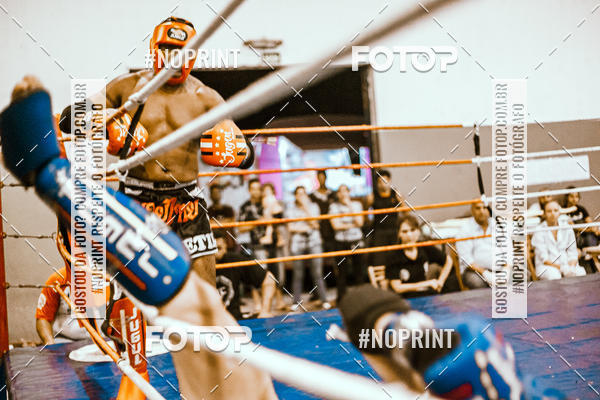 Buy your photos of the eventCOPA EUROPA DE MUAY THAI  on Fotop