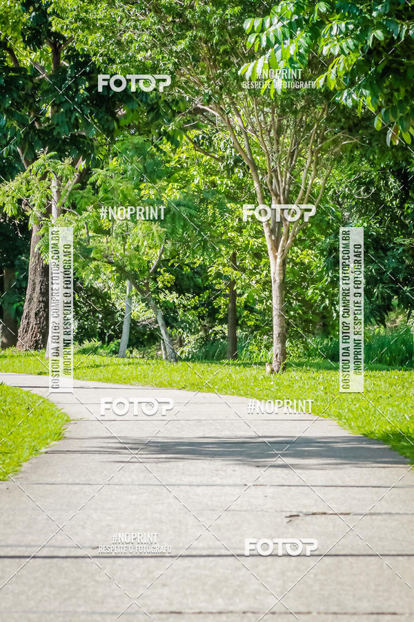 Buy your photos of the eventTreino Luluzinhas Running - Especial de Natal on Fotop