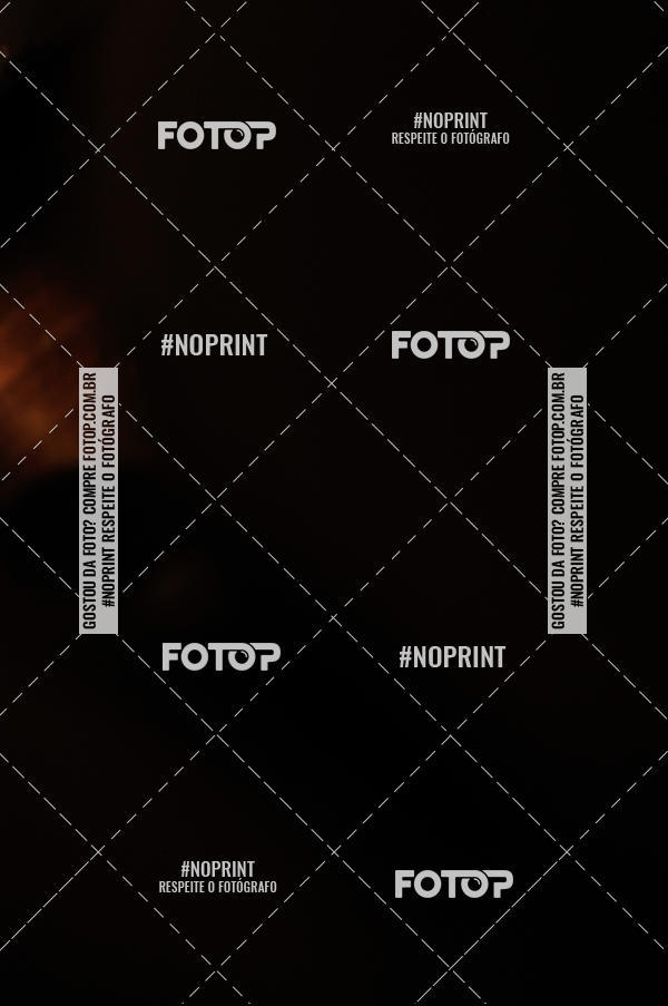 Buy your photos of the eventMeus Quintais  on Fotop