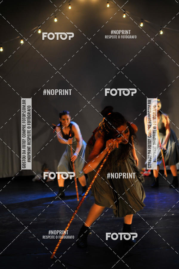 Buy your photos of the eventMeus Quintais  on Fotop