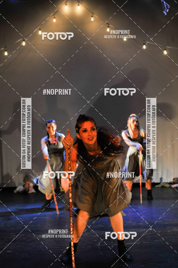 Buy your photos of the eventMeus Quintais  on Fotop