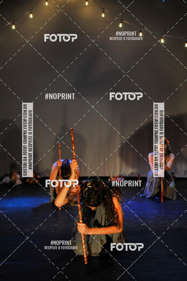 Buy your photos of the eventMeus Quintais  on Fotop