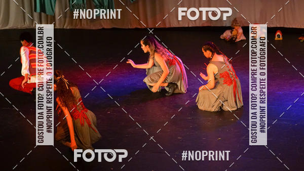 Buy your photos of the eventMeus Quintais  on Fotop