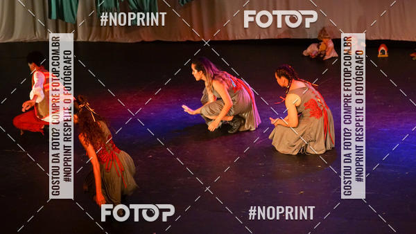 Buy your photos of the eventMeus Quintais  on Fotop