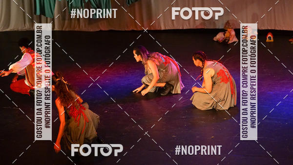 Buy your photos of the eventMeus Quintais  on Fotop