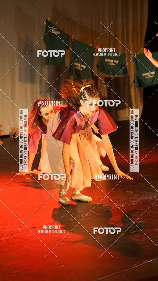 Buy your photos of the eventMeus Quintais  on Fotop