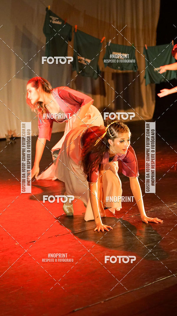 Buy your photos of the eventMeus Quintais  on Fotop