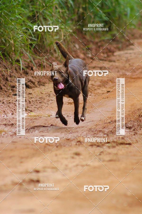 Buy your photos of the event1 CORRIDA LAGOINHENSE on Fotop