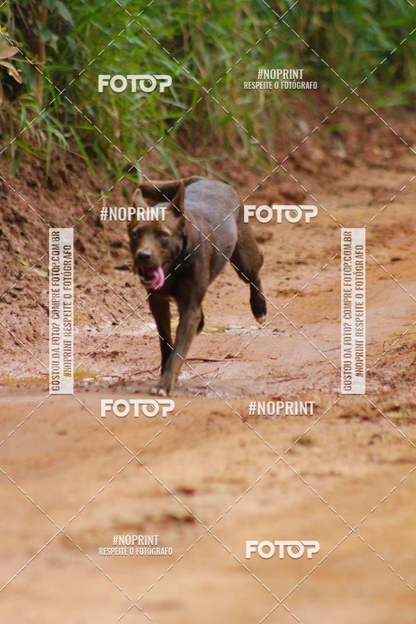 Buy your photos of the event1 CORRIDA LAGOINHENSE on Fotop