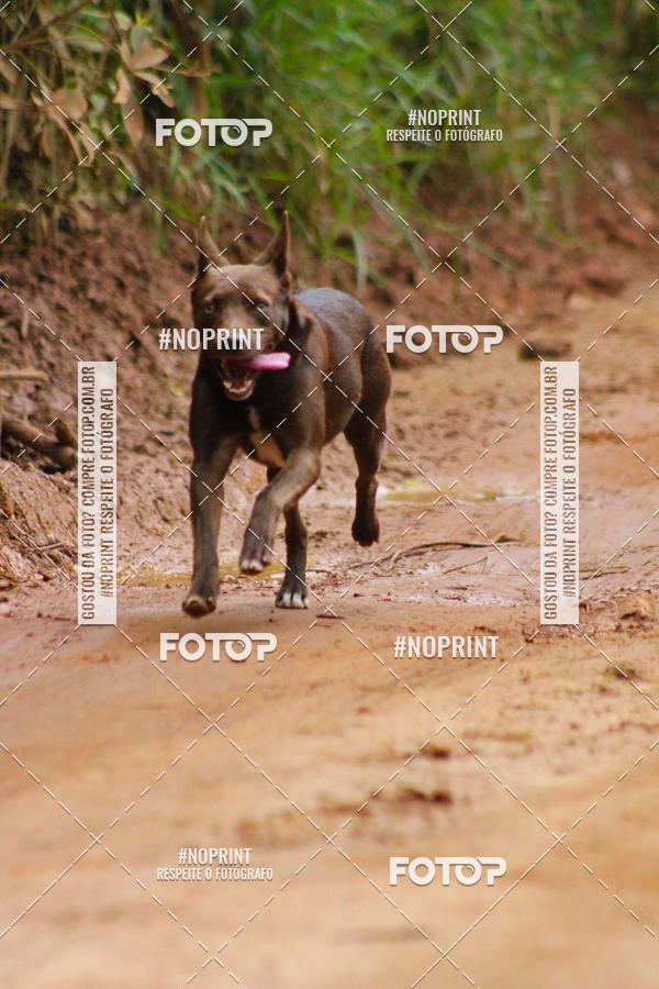 Buy your photos of the event1 CORRIDA LAGOINHENSE on Fotop