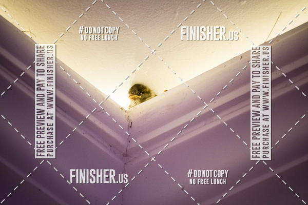 Buy your photos of the eventBMS KickOff Week on Fotop