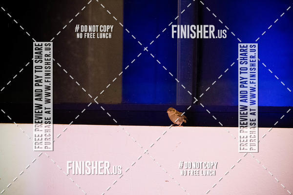 Buy your photos of the eventBMS KickOff Week on Fotop