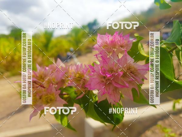 Buy your photos of the eventPedal Da Virada on Fotop