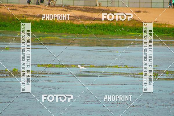 Buy your photos of the eventSEGUNDA EDIO DO PENEDO NATICO - SHOW DE SAULO on Fotop