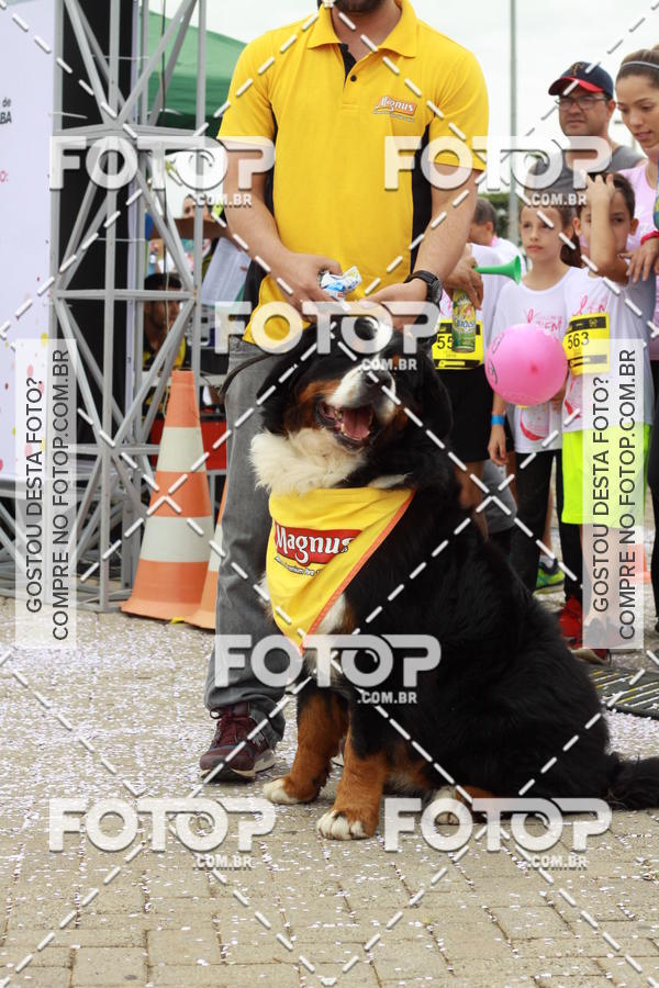 Buy your photos of the eventCorrida Pink do Bem on Fotop