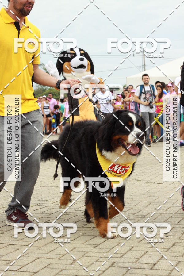 Buy your photos of the eventCorrida Pink do Bem on Fotop