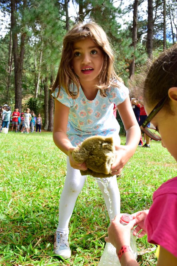 Buy your photos of the eventNR1 - Cl�ssico - 31 a 02/04/17 on Fotop