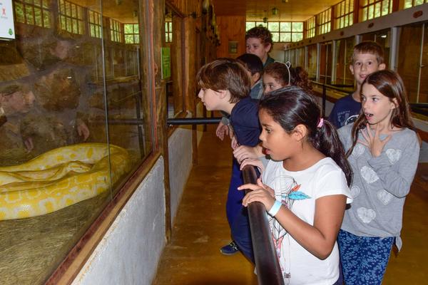 Buy your photos of the eventNR1 - Cl�ssico - 31 a 02/04/17 on Fotop