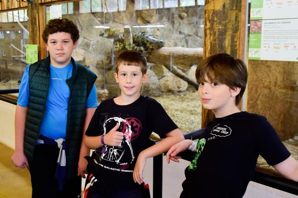 Buy your photos of the eventNR1 - Cl�ssico - 31 a 02/04/17 on Fotop