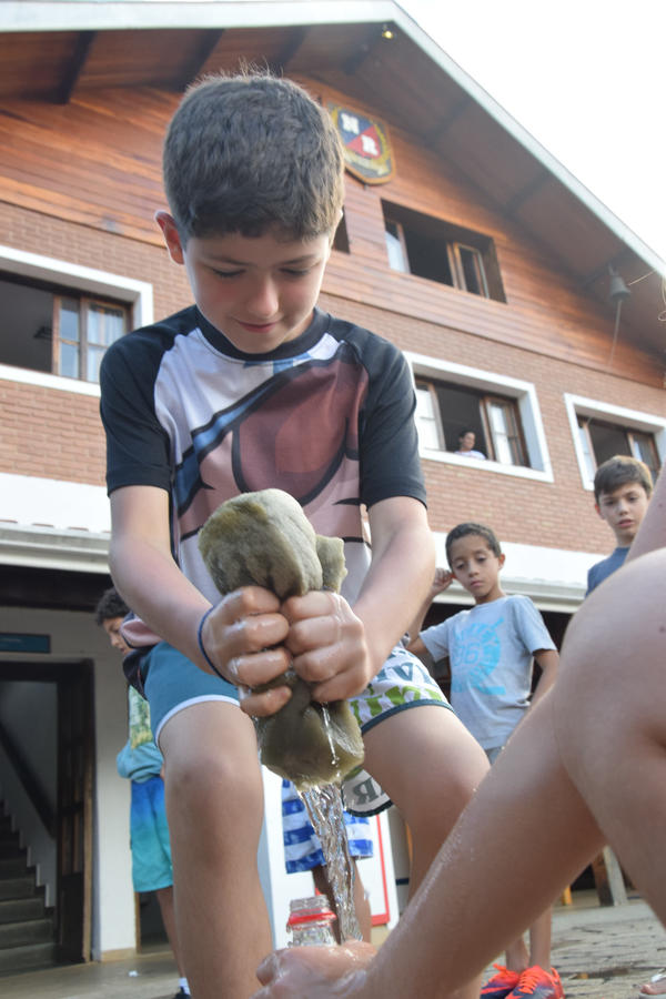 Buy your photos of the eventNR2 English & Action 07 a 09/04/17 on Fotop