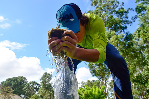 Buy your photos of the eventNR1 - English & Action 29 A 02/05/17 on Fotop