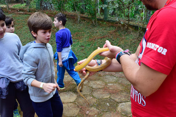 Buy your photos of the eventNR1 - Cl�ssico - 03 a 05/05/17 on Fotop