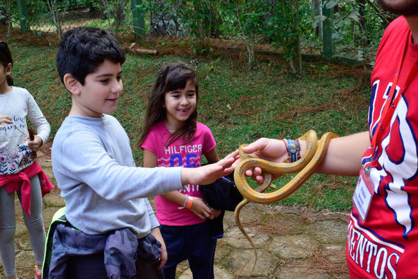 Buy your photos of the eventNR1 - Cl�ssico - 03 a 05/05/17 on Fotop