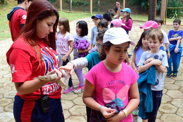 Buy your photos of the eventNR1 - Cl�ssico - 03 a 05/05/17 on Fotop