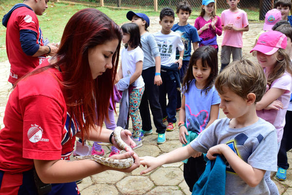 Buy your photos of the eventNR1 - Cl�ssico - 03 a 05/05/17 on Fotop