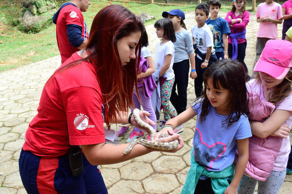 Buy your photos of the eventNR1 - Cl�ssico - 03 a 05/05/17 on Fotop