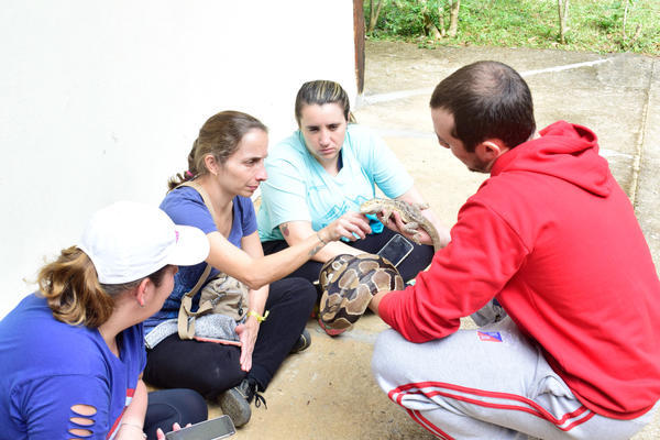 Buy your photos of the eventNR1 - Cl�ssico - 03 a 05/05/17 on Fotop