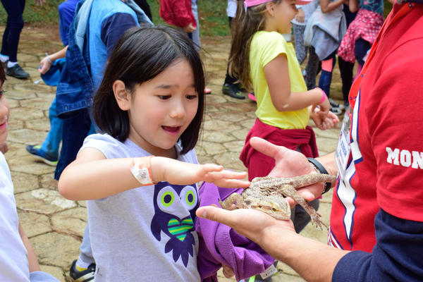 Buy your photos of the eventNR1 - Cl�ssico - 03 a 05/05/17 on Fotop