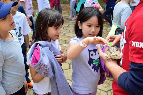 Buy your photos of the eventNR1 - Cl�ssico - 03 a 05/05/17 on Fotop