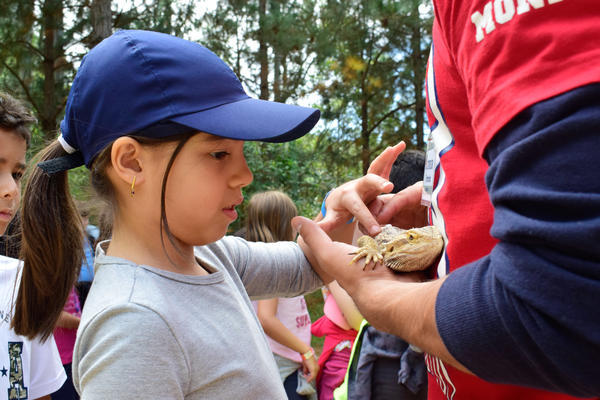 Buy your photos of the eventNR1 - Cl�ssico - 03 a 05/05/17 on Fotop